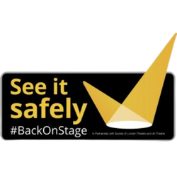 see it safely logo